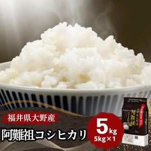 米 コシヒカリ 5kg 福井県大野阿難祖産 白米 令和6年産 送料無料