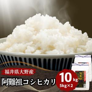 米 コシヒカリ 10kg 5kg×2袋 福井県大野阿難祖産 白米 送料無料 令和6年産