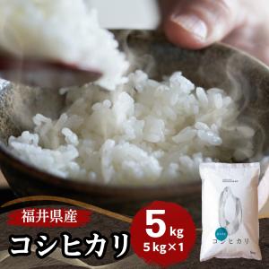 米 コシヒカリ 5kg 福井県産 白米 令和6年産 送料無料