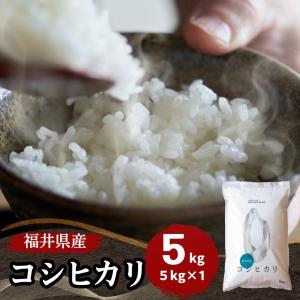 米 コシヒカリ 5kg 福井県産 白米 令和5年産 送料無料