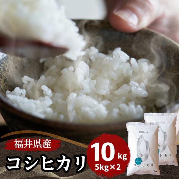米 コシヒカリ 10kg 5kg×2袋 福井県産 白米 令和5年産 送料無料