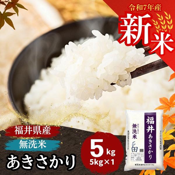 米 無洗米 5kg あきさかり 福井県産 白米 令5年産 送料無料