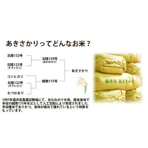 無洗米 10kg 5kg×2袋 あきさかり 福...の詳細画像2