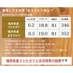 無洗米 10kg 5kg×2袋 あきさかり 福...の詳細画像3