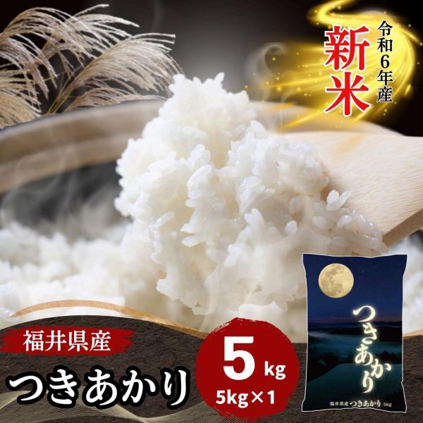 5kg つきあかり 福井県産 白米 令和5年産 送料無料