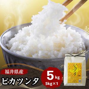 米 5kg ピカツンタ 福井県産 お米 白米 令和5年産 送料無料｜fukuikomeya