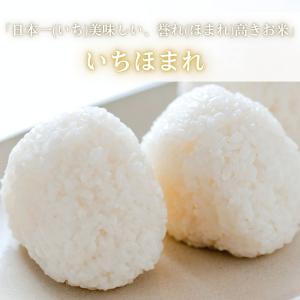 10kg 5kg×2袋 いちほまれ 福井県産 ...の詳細画像1