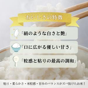 10kg 5kg×2袋 いちほまれ 福井県産 ...の詳細画像2