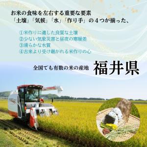 10kg 5kg×2袋 いちほまれ 福井県産 ...の詳細画像4