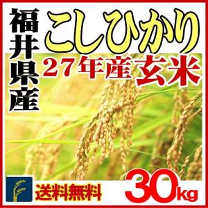 米30kg 玄米 福井県産コシヒカリ　30kg　紙袋入り　27年産　送料無料　2015