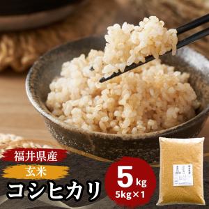 令和7年産玄米　15kg コシヒカリ 米 玄米 15kg 5kg×3袋 福井県産 令和7年産 送料無料 : 福井