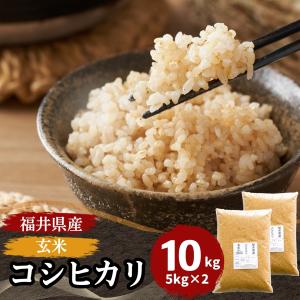 米 玄米 10kg 5kg×2袋 コシヒカリ 福井県産 令和3年産