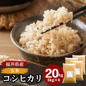 コシヒカリ 米 玄米 15kg 5kg×3袋 福井県産 令和7年産 送料無料 : 福井