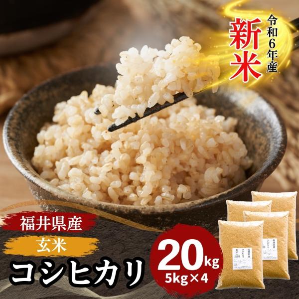 米 玄米 20kg 5kg×4袋 コシヒカリ 福井県産 令和5年産 送料無料