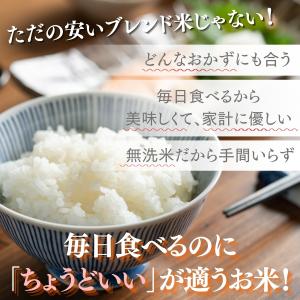米 無洗米 10kg 10kg×1袋 送料無料...の詳細画像2