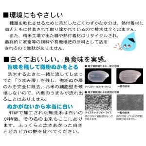 米 無洗米 10kg 10kg×1袋 送料無料...の詳細画像5