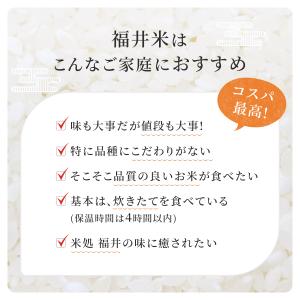 米 10kg 送料無料 福井米 福井県産100...の詳細画像2