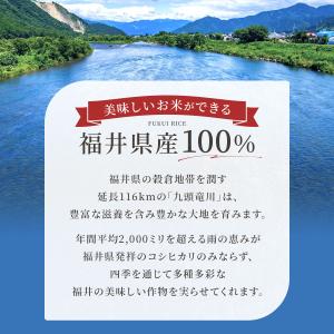 米 10kg 送料無料 福井米 福井県産100...の詳細画像5