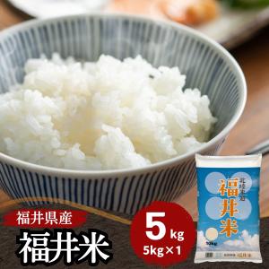 米 5kg 送料無料 福井米 福井県産100% 白米 令和5年産｜fukuikomeya