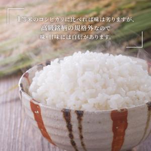 米 5kg 送料無料 福井米 福井県産100%...の詳細画像5
