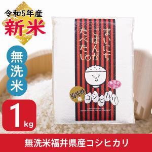 新米 ポイント消化 無洗米 1kg コシヒカリ 福井県産 白米 令和5年産 ポスト投函 送料無料