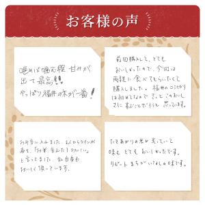 米 無洗米 15kg 5kg×3袋 コシヒカリ...の詳細画像4