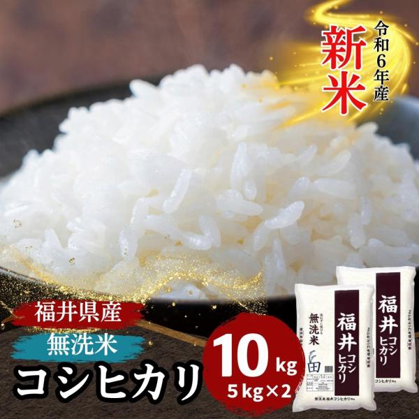 米 無洗米 10kg 5kg×2袋 コシヒカリ 福井県産 令和5年産 送料無料 白米