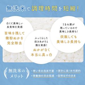 米 無洗米 10kg 5kg×2袋 コシヒカリ...の詳細画像5