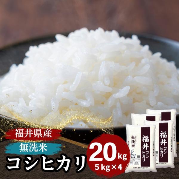 米 無洗米 20kg 5kg×4袋 コシヒカリ 福井県産 令和5年産 送料無料 白米