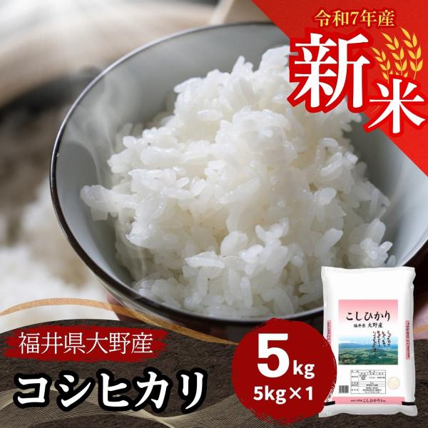 新米 米 5kg コシヒカリ 福井県大野産 白米 令和7年産 送料無料