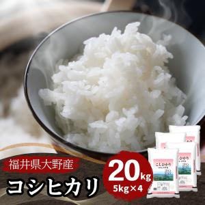 コシヒカリ 米 玄米 15kg 5kg×3袋 福井県産 令和7年産 送料無料 : 福井