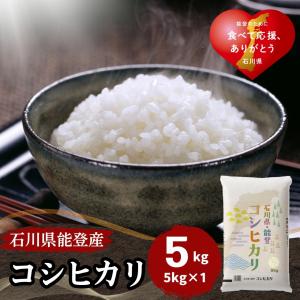 米 5kg コシヒカリ 石川県能登産 白米 令和5年産 送料無料｜fukuikomeya