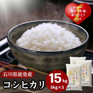 米 15kg 5kg×3袋 コシヒカリ 石川県能登産 白米 令和5年産 送料無料｜fukuikomeya