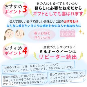 無洗米 ミルキークイーン 20kg 5kg×4...の詳細画像4