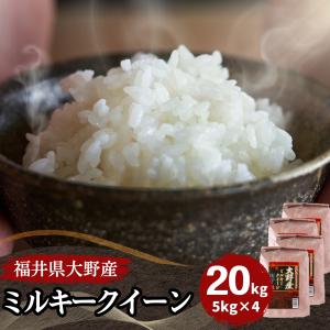 ミルキークイーン 20kg 送料無料 お米 白米 福井県大野産 令和5年産｜福井の米屋