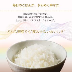 米 にじのきらめき 5kg 福井県産 白米 令...の詳細画像1