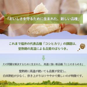 米 にじのきらめき 10kg 5kg×2袋 福...の詳細画像3