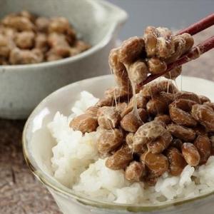 高級納豆ギフト 二代目福治郎 福治郎セット 送...の詳細画像1