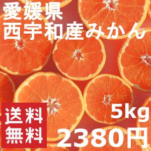 みかん 福珠みかん 5kg 愛媛県西宇和産 家庭用 送料無料 産地直送