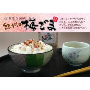 お歳暮 お歳暮ギフト 御歳暮 歳暮  ポスト投函 紀州の梅ごま