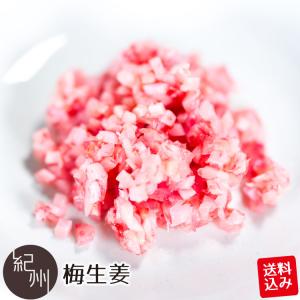 お歳暮 お歳暮ギフト 御歳暮 歳暮  (ネコポス)梅生姜100g×3袋