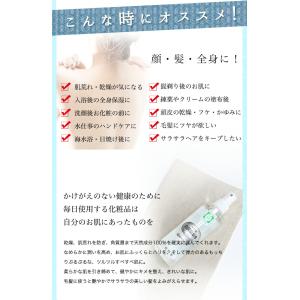 お歳暮 お歳暮ギフト 御歳暮 歳暮 ☆レターパ...の詳細画像4