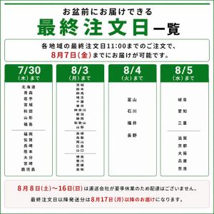 ※8/8〜8/16まで発送休止※ 再生フロンガ...の詳細画像1