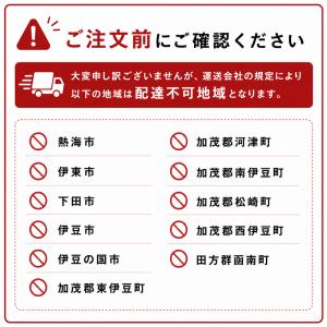 ※8/8〜8/16まで発送休止※ 再生フロンガ...の詳細画像5