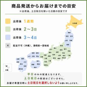 ※8/8〜8/16まで発送休止※ 再生フロンガ...の詳細画像3