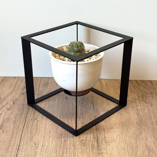 プランツディスタンス ブラック 植物台