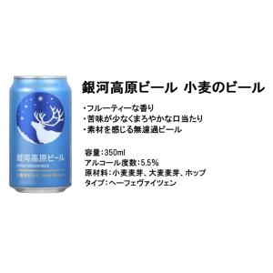 ビール ギフト 国産クラフトビール 全国人気メ...の詳細画像3