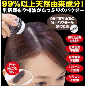 薄毛パウダー メンズヘアカラー 白髪染め の商品一覧 メンズヘアケア コスメ 美容 ヘアケア 通販 Yahoo ショッピング