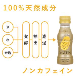 VATEN バテン 100ml 10本入【ペッ...の詳細画像4