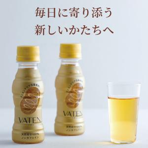 VATEN バテン 100ml 10本入【ペッ...の詳細画像2